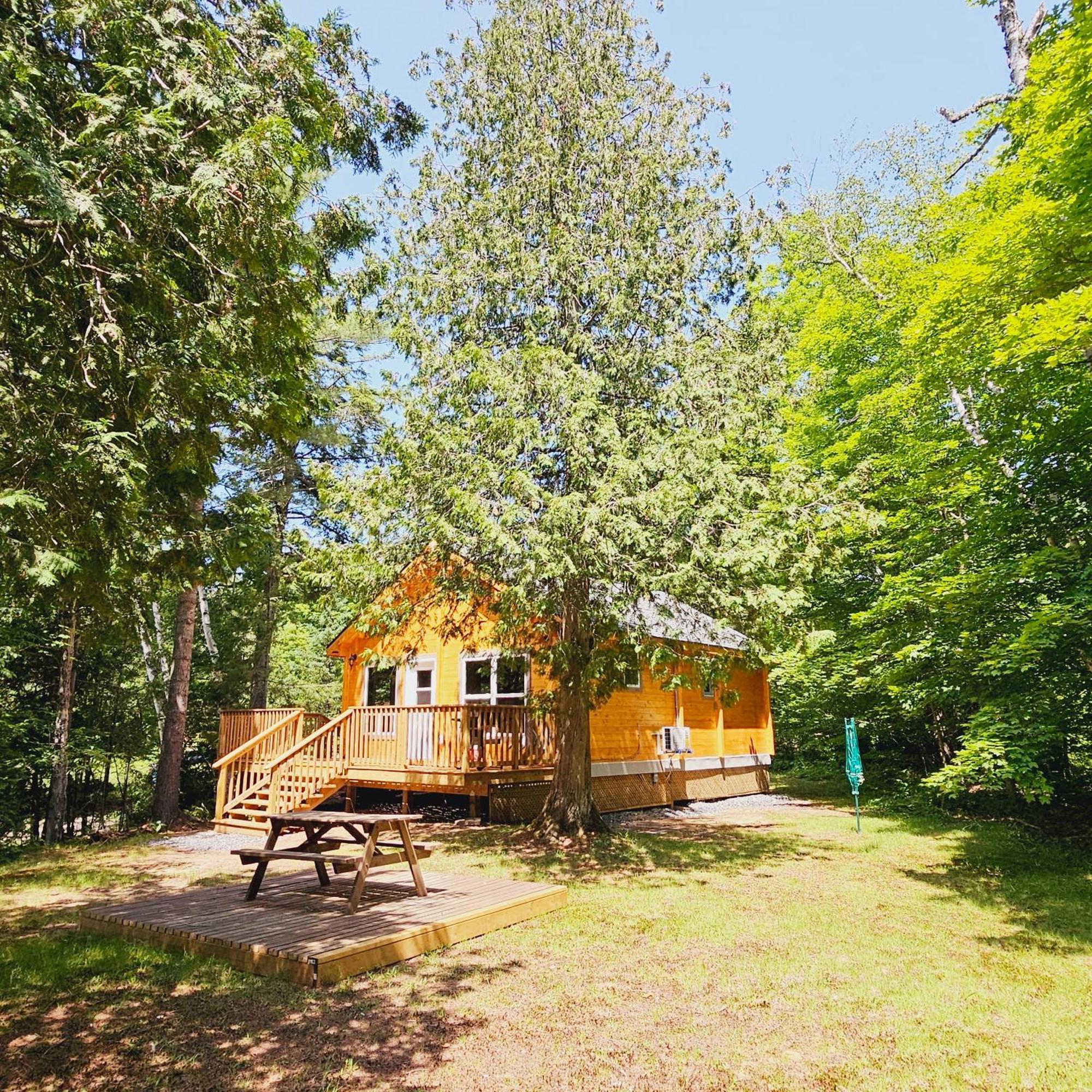 Parkway Cottage Resort And Trading Post Dwight المظهر الخارجي الصورة