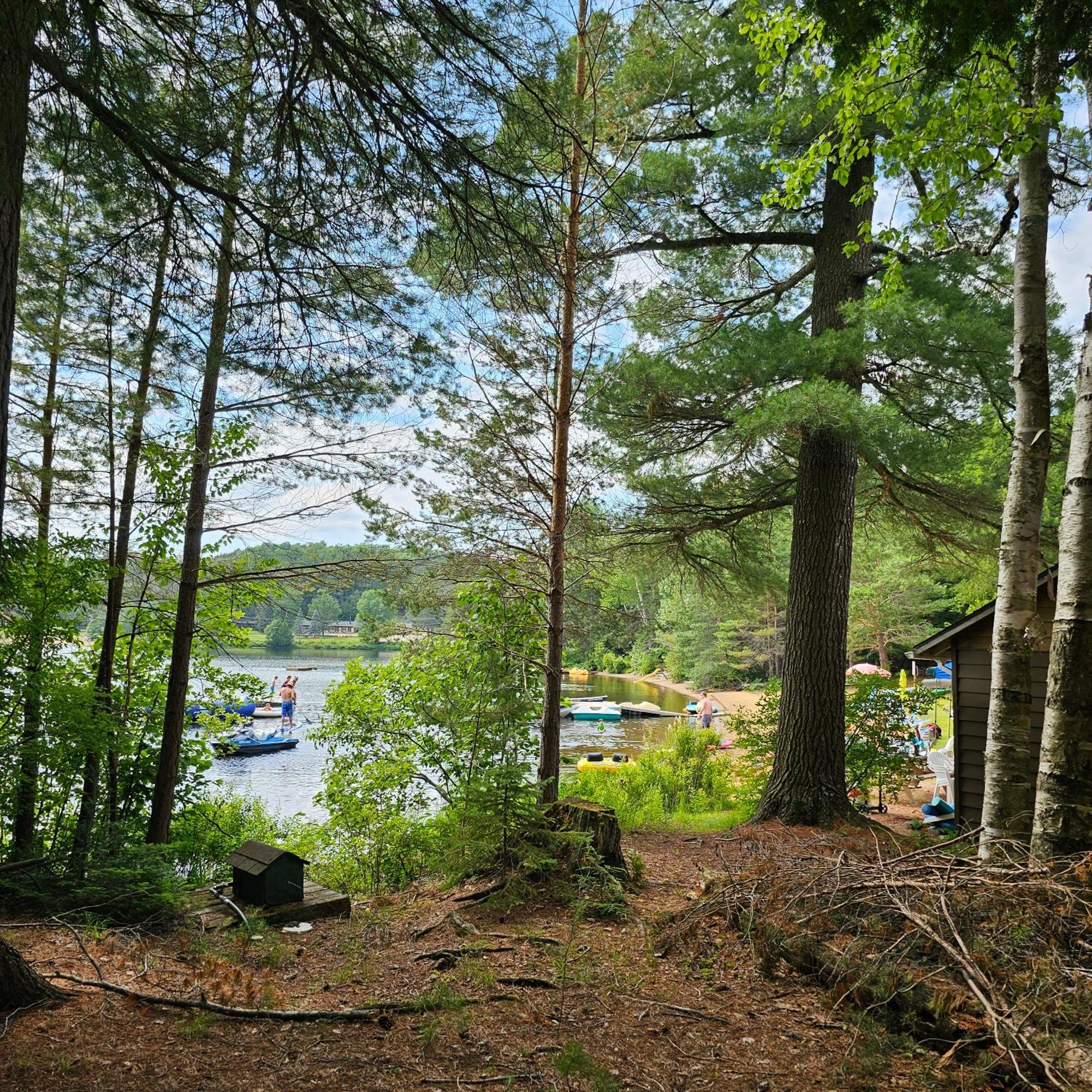 Parkway Cottage Resort And Trading Post Dwight المظهر الخارجي الصورة